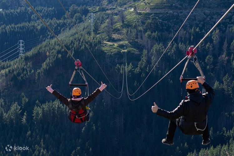 Christchurch Adventure Park Activity Tickets Klook India