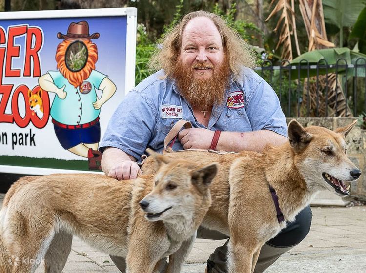 By Jingo Dingo Encounter - Australia Zoo