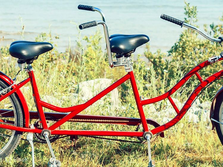 Greenline 7 speed tandem bicycle beach cruiser bike new arrivals