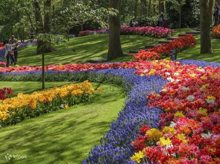 Keukenhof Tulip Gardens in Amsterdam - Klook