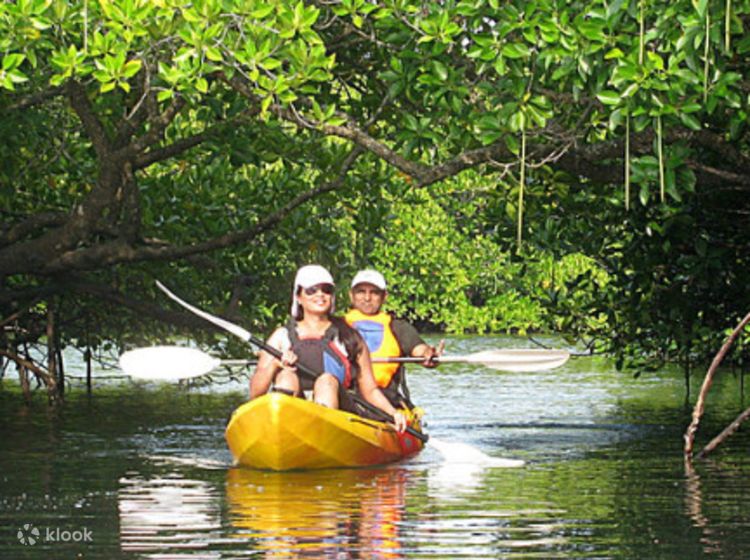 swaraj dweep / havelock islands, andaman islands