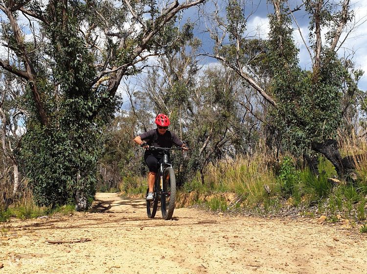 Adventure trail store mountain bike