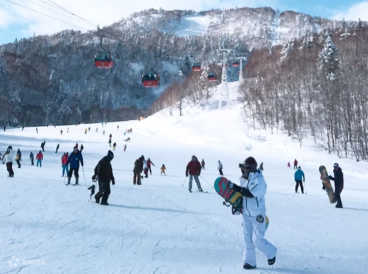 札幌市 小学生 スキーリフト クーポン券 - スキー場