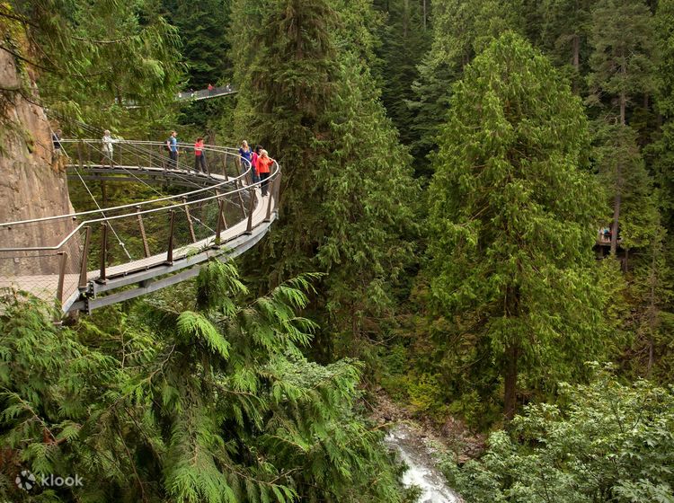 Vancouver City and Capilano Suspension Bridge Park Join In Half Day Tour -  Klook Canada