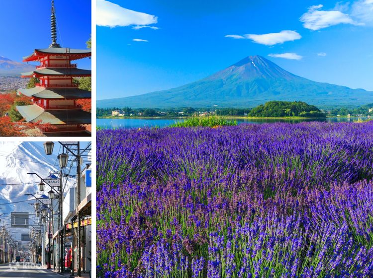 富士山五合目& 五层宝塔& 本町商店街& 大石公园一日游（东京出发 