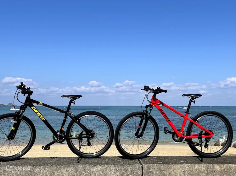 Giant sales snap bike