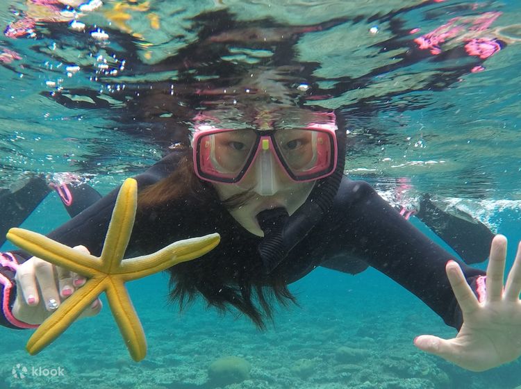 Can Pregnant Women Snorkel? Discover the Safe and Exciting Underwater Adventure!