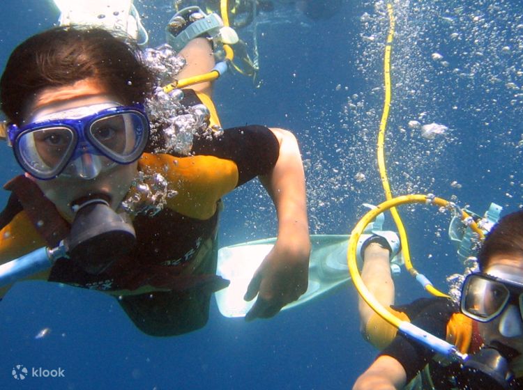 What is the Largest Coral Reef : Discover the Majestic Wonder