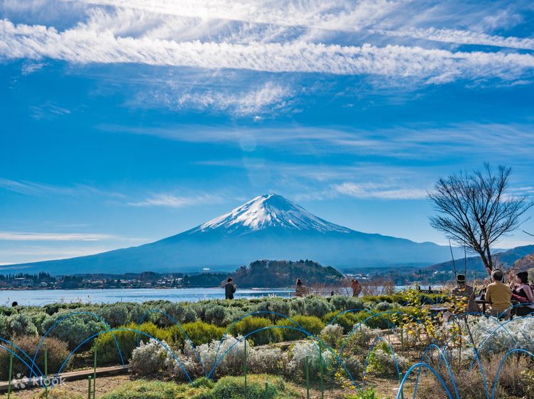 山梨县富士山五合目＆忍野八海＆河口湖大石公园一日游- Klook客路