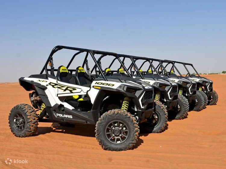 Polaris buggy 1000cc top