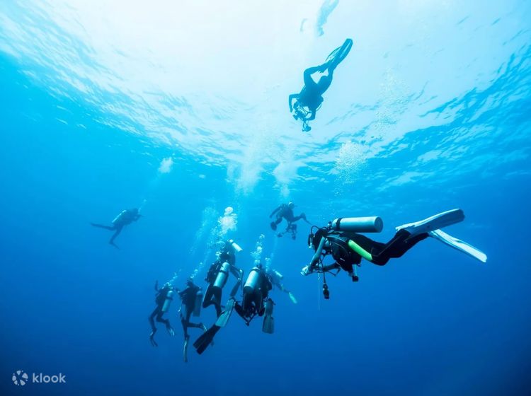 Bali Beginner Scuba Diving Experience, Indonesia - Klook Canada