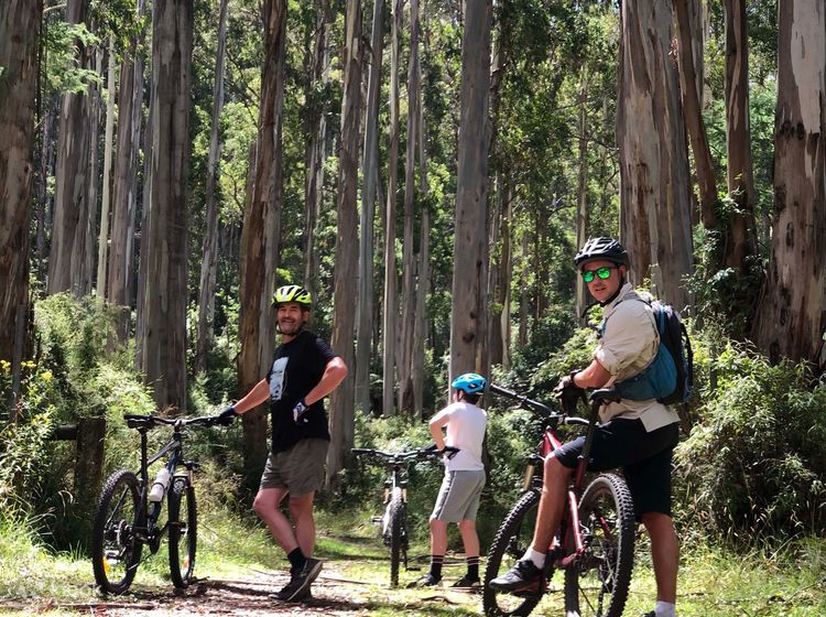 Se racing adventure deals mountain bike