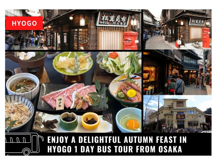 Osaka to kobe sanda premium outlet top