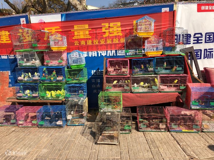 Private Kunming Downtown Day Tour in Yunnan China Klook Estados