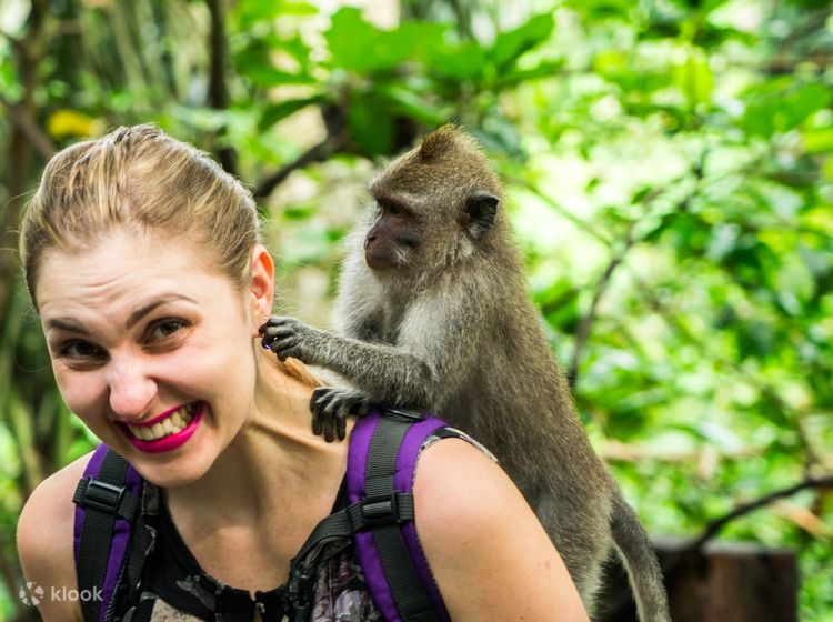 Miglior tour con Kanto Lampo Waterfall e il tempio di Lempuyang 2024 - Ubud