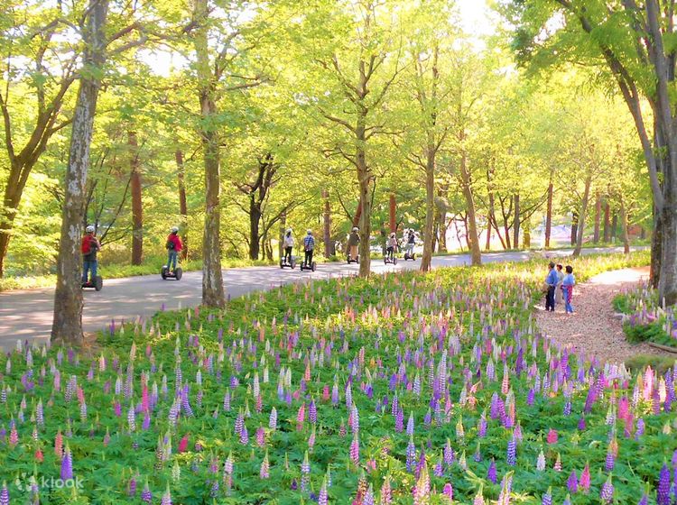 Segway Experience in Showa Kinen Park of Tokyo - Klook