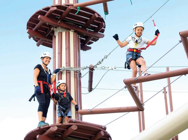 Next Level High Ropes Course in Maroochydore - Klook India