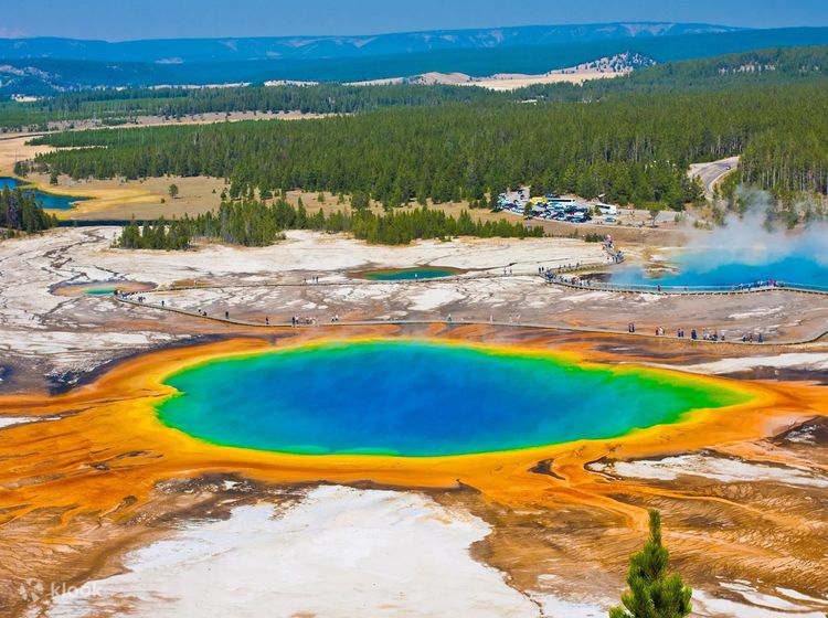 1 Day Yellowstone Park Southern Loop Boutique Tour from Montana - Klook India