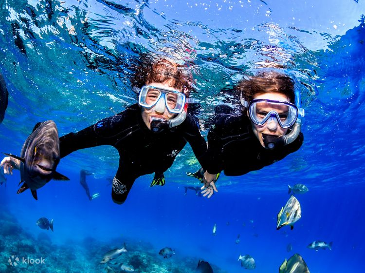 Scuba Diving in Cairns - Klook Canada