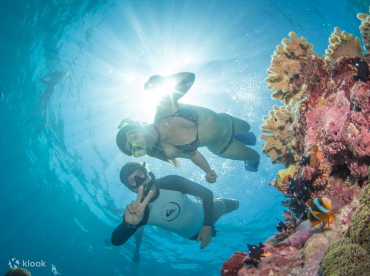 Scuba Diving in Cairns - Klook