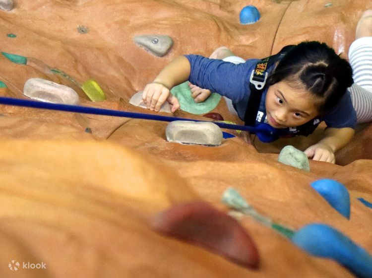Indoor Bouldering & Rock Climbing Experience in Taipei - Klook India