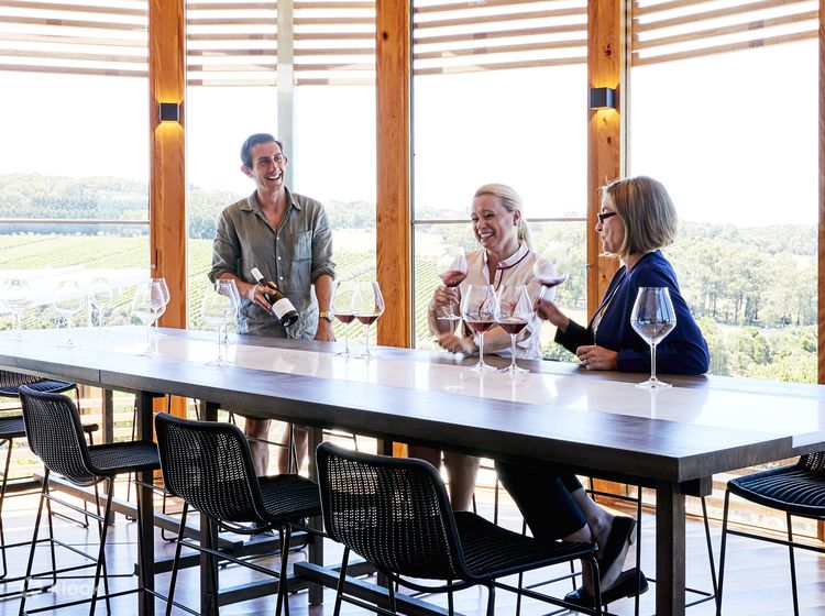 Montalto Winery Tour in Melbourne Klook Australia