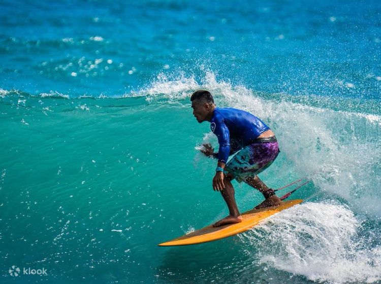 Orchid land surf hot sale