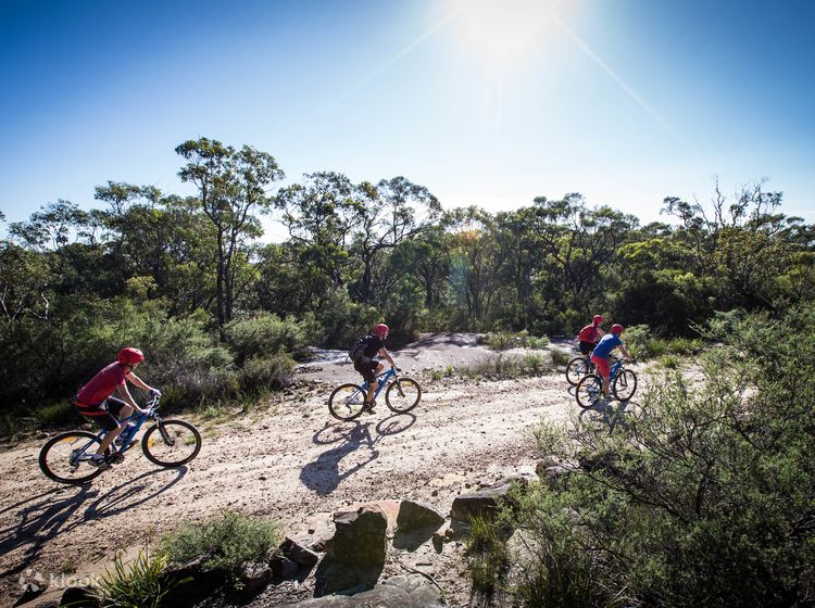 The Oaks Beginner Self guided Bike Hire Trail in the Blue Mountains Klook India