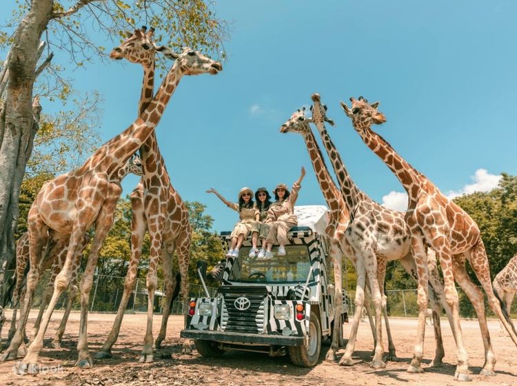 Kanchanaburi Safari Park Day Tour from Bangkok by AK Travel - Klook Canada