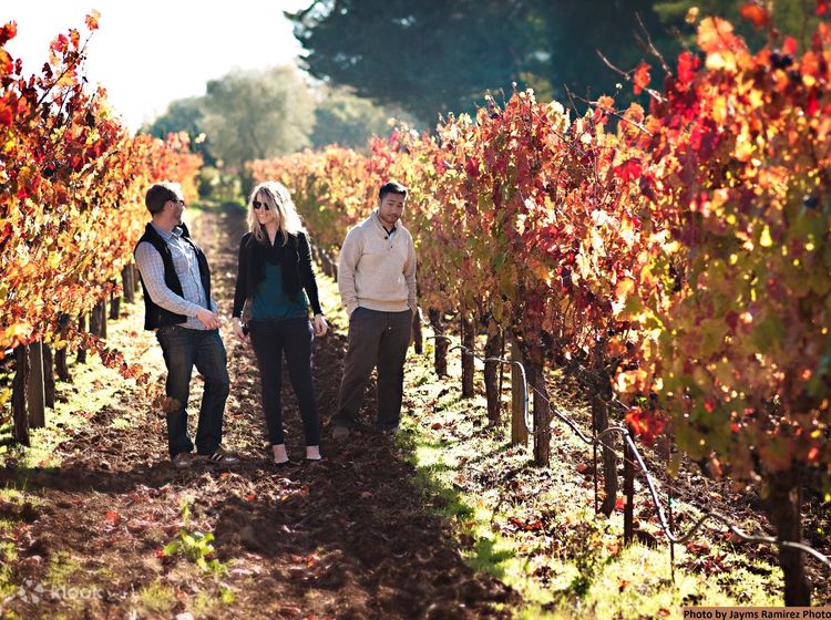 Napa Valley and Sonoma Wine Country Full Day Tour from San Francisco in USA  - Klook Canada