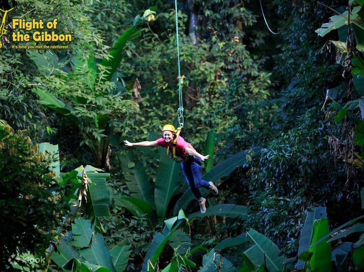 Rainforest trekking with Thai Jungle Sports - Picture of Thai Jungle Sports  - Day Tours, Chiang Mai - Tripadvisor