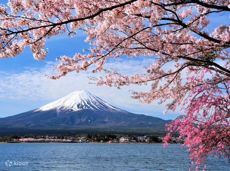 富士山& 诹访湖& 高山市一日游（东京出发） - Klook客路