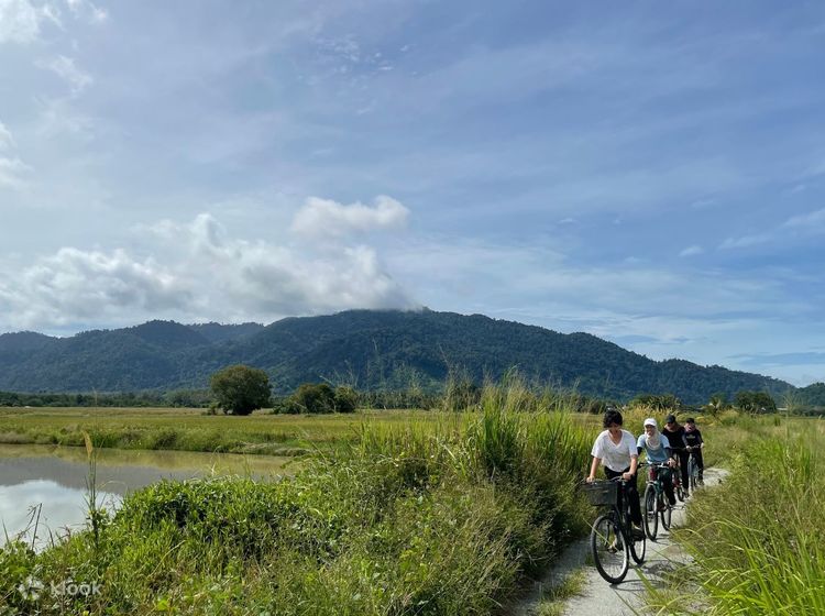 Langkawi cycling online