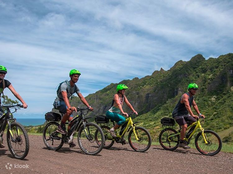Electric best sale trail bicycle