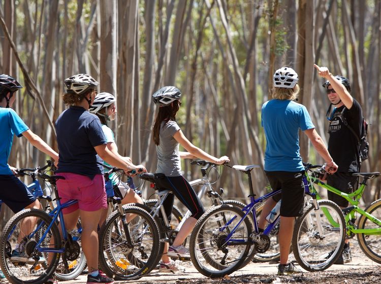 You yangs mtb trails outlet