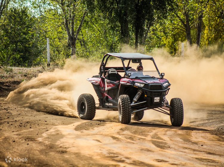 Cheap top dune buggy
