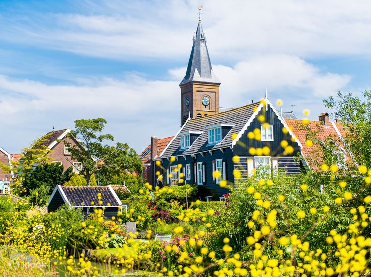 ontmoeten Trouwens Verbinding Countryside & Windmills Tour from Amsterdam - Klook