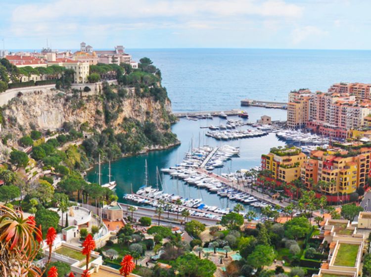 Monaco to Monte Carlo and Eze Private Half-Day Shore Excursion