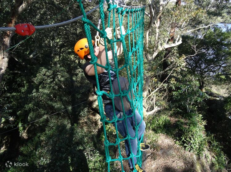 Ham selv afbalanceret dans Treetop Climbing and Ziplining Experience - Klook