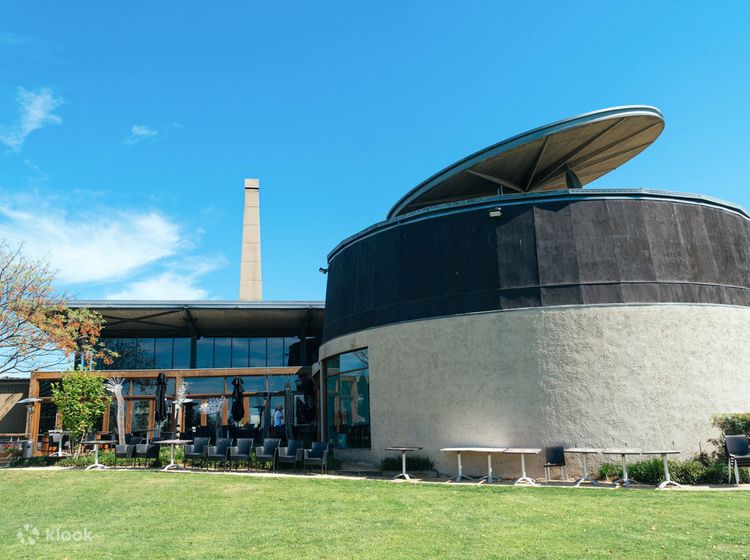 18+ Shades Mountain Filter Plant LouiseSierra