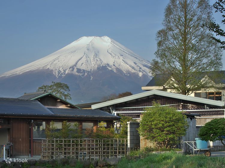 Ninja fuji sales
