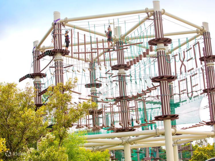 Next Level High Ropes Course in Maroochydore - Klook