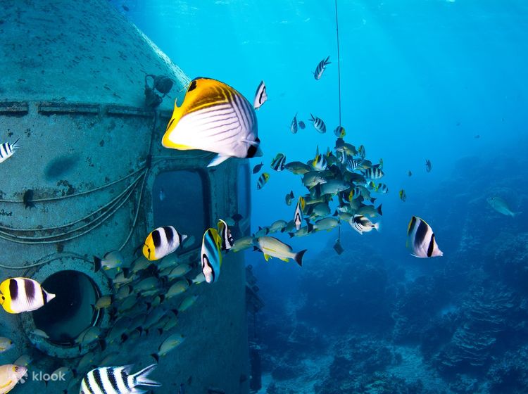 Underwater 80x40x40, sur le forum de discussions FishFish Aquarium et  Aquariophilie