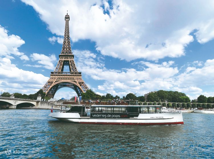 Seine River Sightseeing Cruise and Combo Experience in Paris