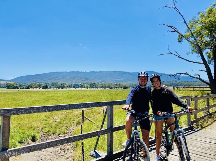 Wine hotsell bike tour