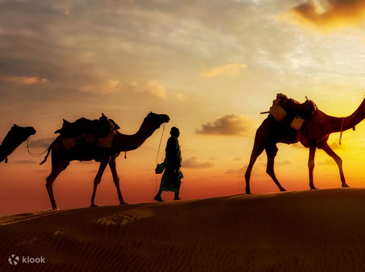 Điêu khắc lên lưng lạc đà, ăn mỳ kẹo và múa bụng ở sa mạc Dubai. Đó là những khoảnh khắc tuyệt vời đang chờ đón bạn, một chuyến du lịch thực sự khó quên và đầy cảm xúc. Hãy xem các hình ảnh để được trải nghiệm những giây phút tuyệt vời nhất tại Dubai!