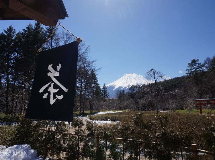 Ninja fuji clearance