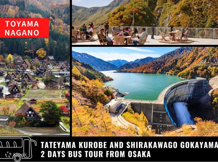 2 Day Tateyama Kurobe Alpine Route and Shirakawago Bus Tour