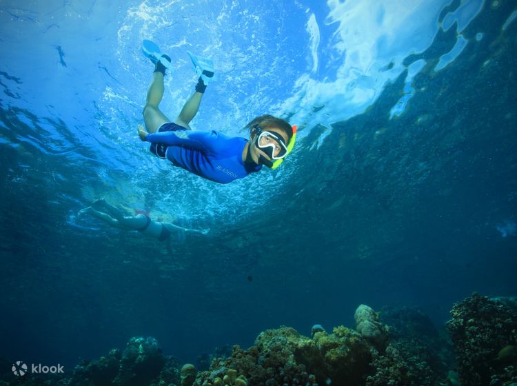 LES 10 MEILLEURES Plongée sous-marine et avec tuba à Bali