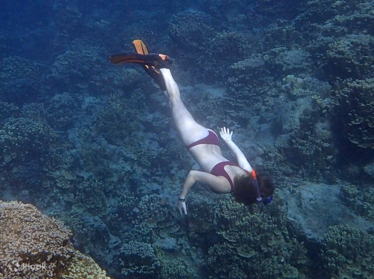 Best Freediving Tour in Guam - Klook